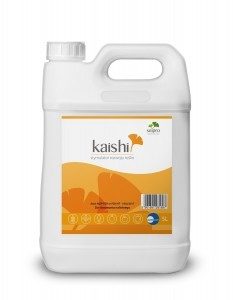 kaishi